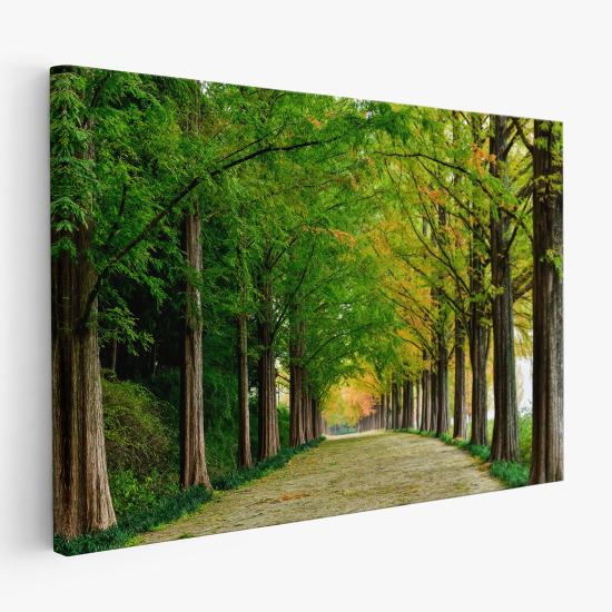Stampa su tela - Foresta
