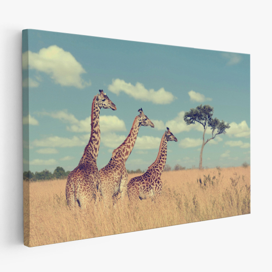 Stampa su tela - Giraffe