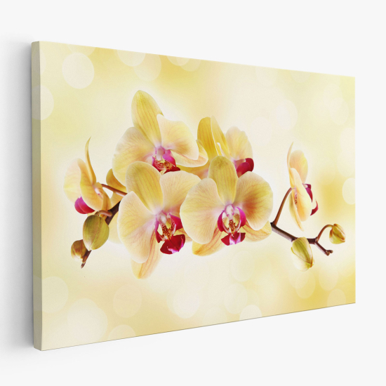 Stampa su tela - Orchidee
