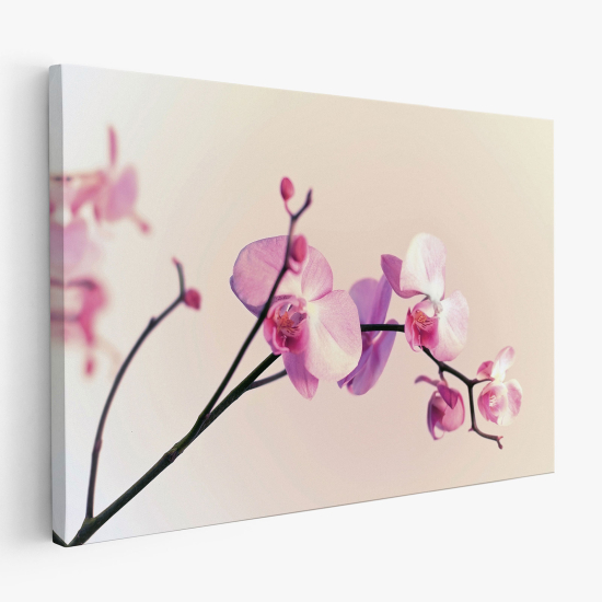 Stampa su tela - Orchidee