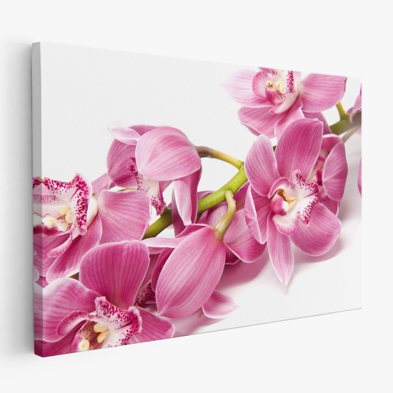 Stampa su tela - Orchidee