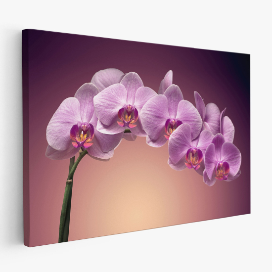 Stampa su tela - Orchidee