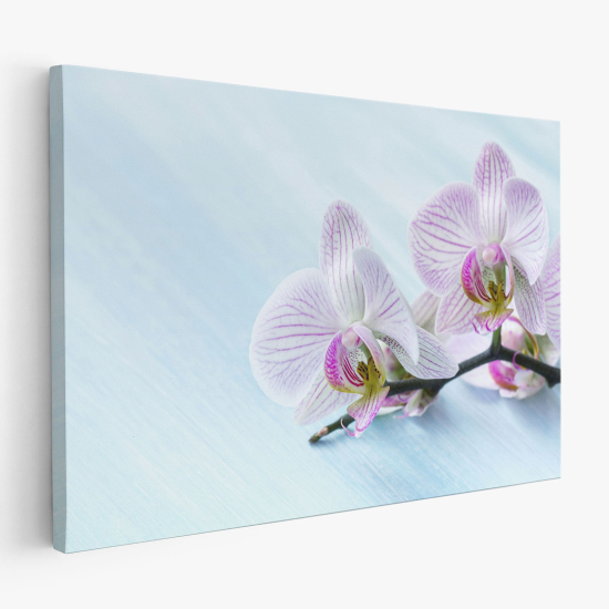 Stampa su tela - Orchidee
