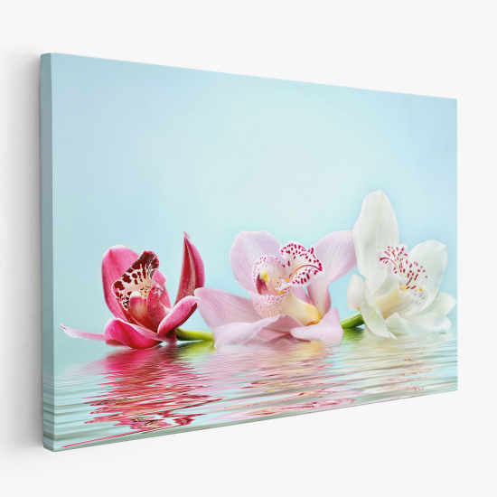 Stampa su tela - Orchidee