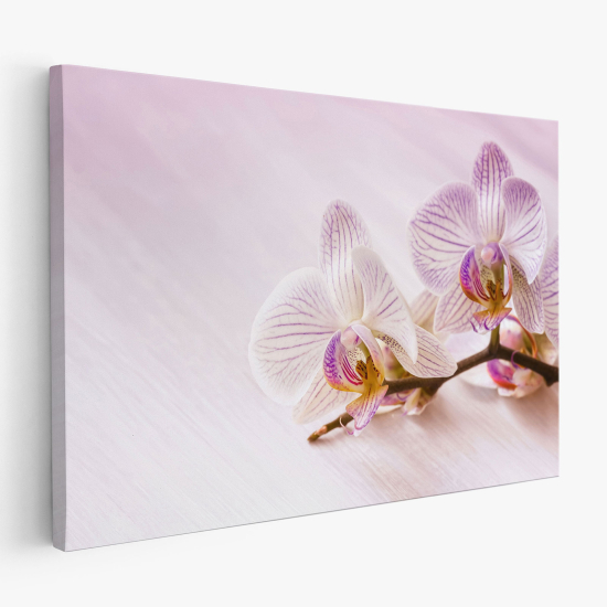 Stampa su tela - Orchidee