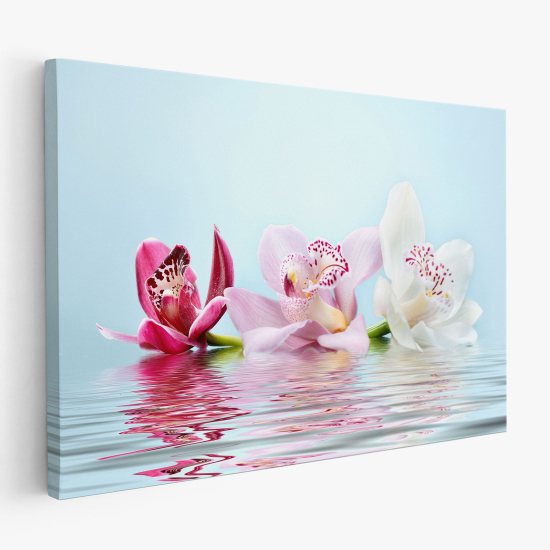 Stampa su tela - Orchidee