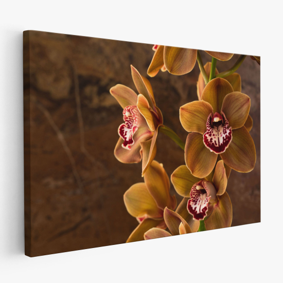Stampa su tela - Orchidee
