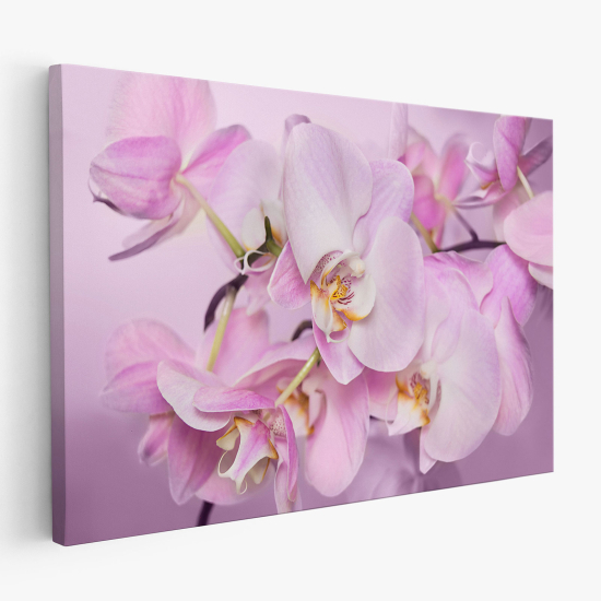 Stampa su tela - Orchidee