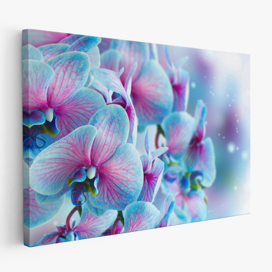 Stampa su tela - Orchidee