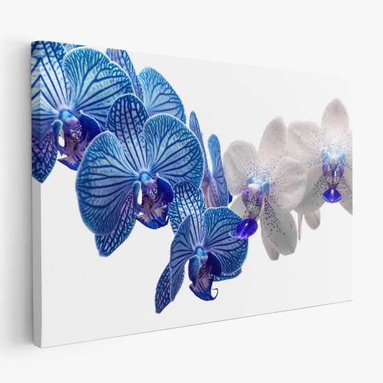 Stampa su tela - Orchidee blu