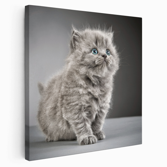 Stampa su tela Quadrata - Chat