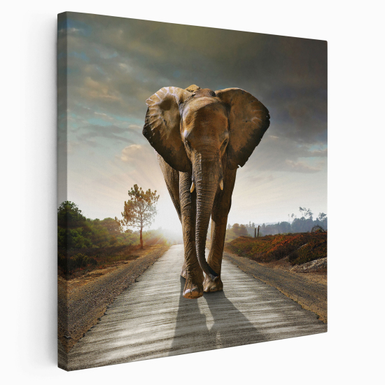 Stampa su tela Quadrata - Elefante