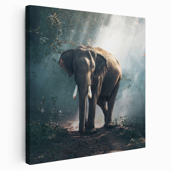 Stampa su tela Quadrata - Elefante