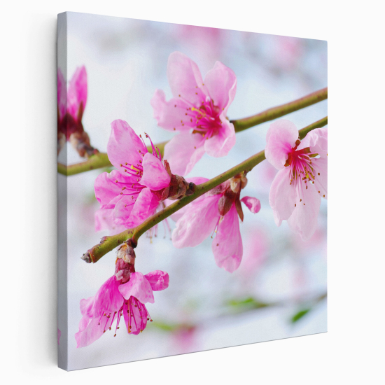 Stampa su tela Quadrata - Fiori