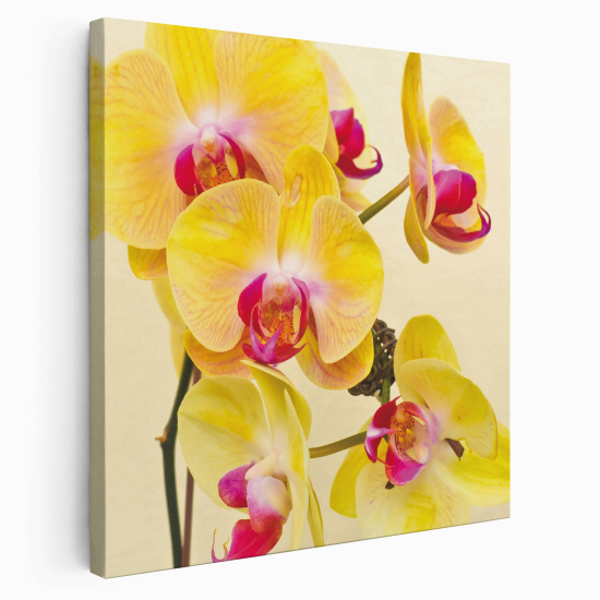 Stampa su tela Quadrata - Fiori