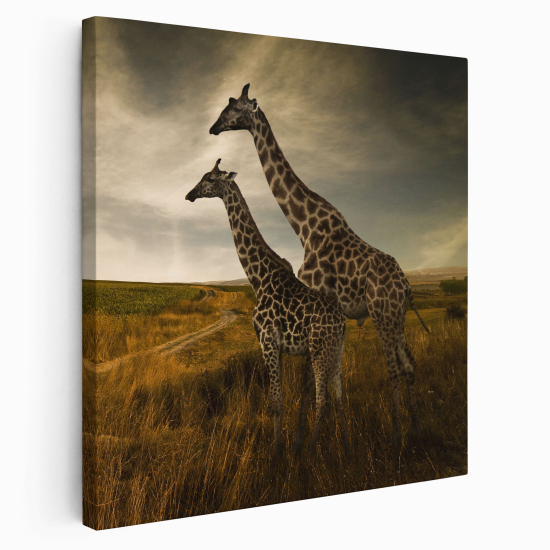 Stampa su tela Quadrata - Giraffe