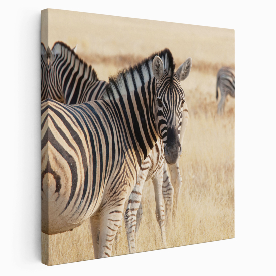 Stampa su tela Quadrata - Zebre