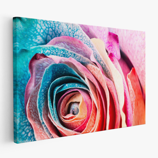 Stampa su tela - Rosa colorata