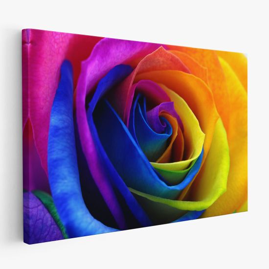 Stampa su tela - Rosa colorata