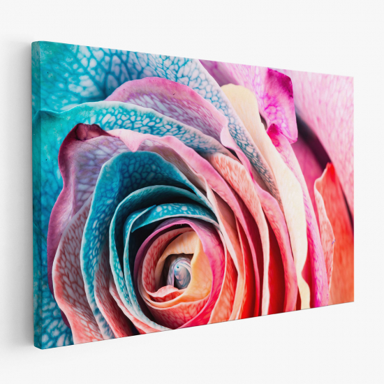 Stampa su tela - Rosa colorato