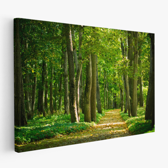 Stampa su tela - Sentiero nel bosco