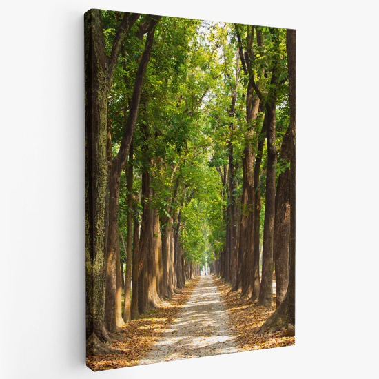 Stampa su tela - Sentiero nel bosco