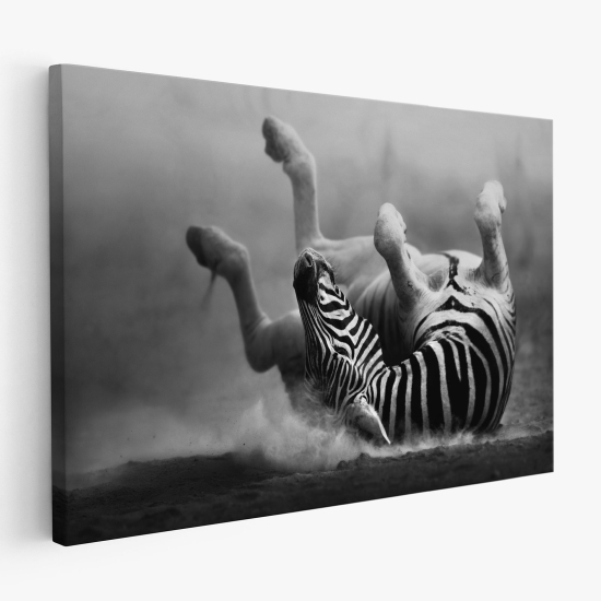 Stampa su tela - Zebra