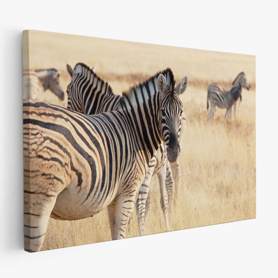 Stampa su tela - Zebre Savana