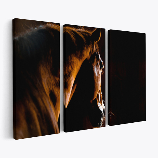 Stampa Trittico su tela - Cavallo