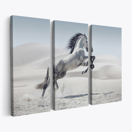 Stampa Trittico su tela - Cavallo