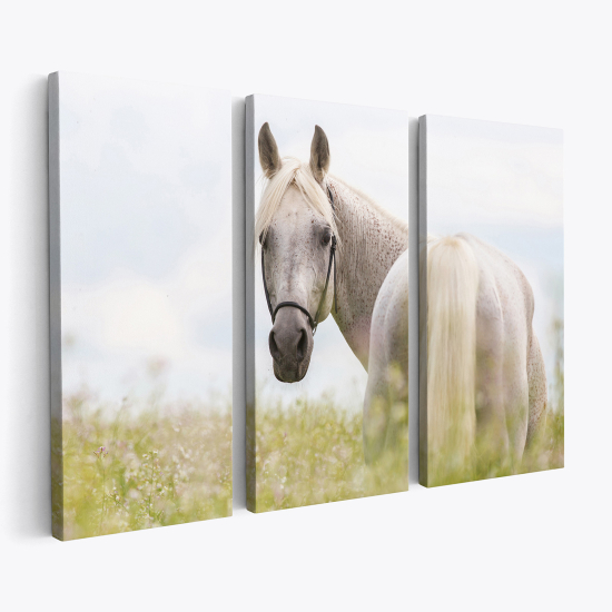 Stampa Trittico su tela - Cavallo