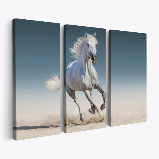Stampa Trittico su tela - Cavallo
