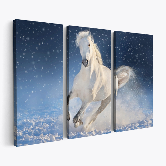 Stampa Trittico su tela - Cavallo