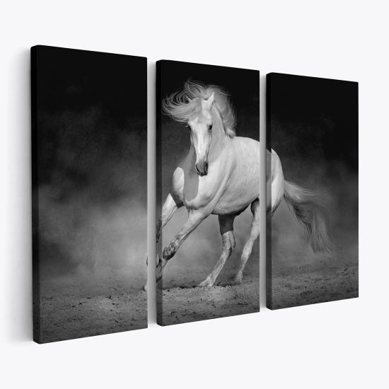 Stampa Trittico su tela - Cavallo