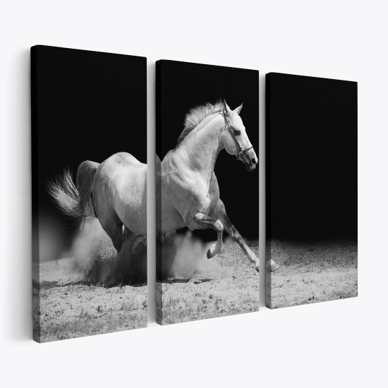 Stampa Trittico su tela - Cavallo bianco