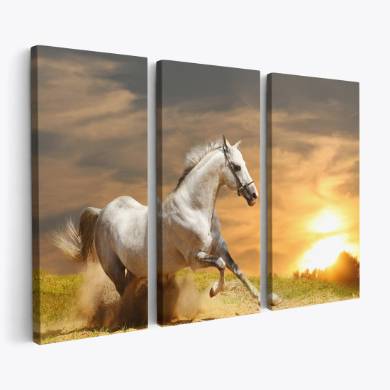 Stampa Trittico su tela - Cavallo bianco