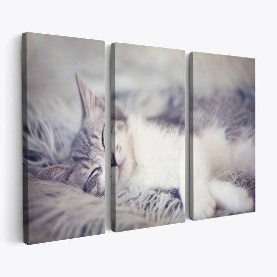 Stampa Trittico su tela - Chat
