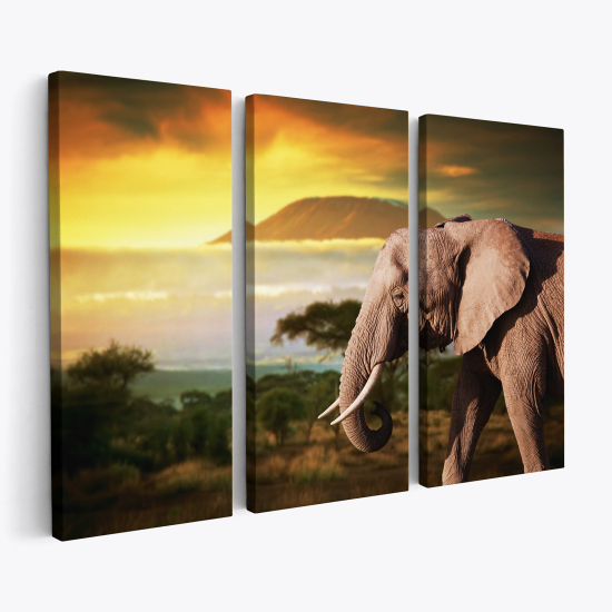 Stampa Trittico su tela - Elefante