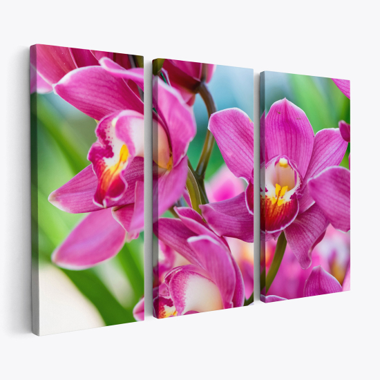 Stampa Trittico su tela - Fiori