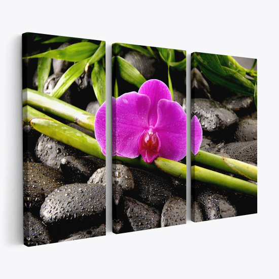 Stampa Trittico su tela - Fiori Ciottoli