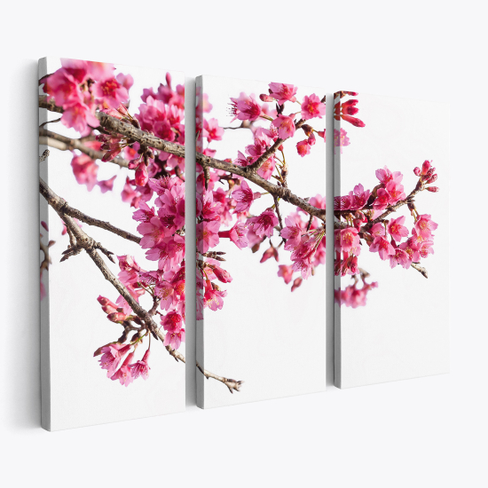 Stampa Trittico su tela - Fiori di Ciliegio