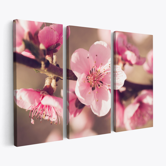 Stampa Trittico su tela - Fiori di Ciliegio