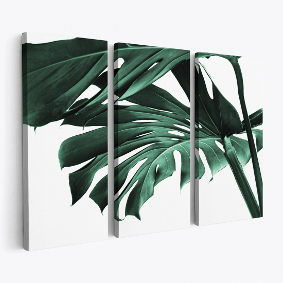Stampa Trittico su tela - Foglie Tropicali Monstera