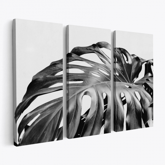 Stampa Trittico su tela - Foglie Tropicali Monstera