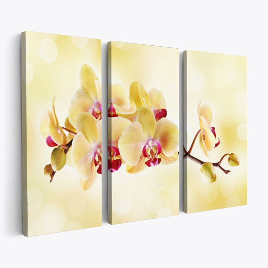 Stampa Trittico su tela - Orchidee