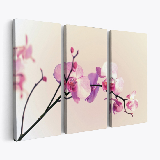 Stampa Trittico su tela - Orchidee