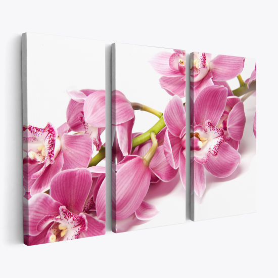 Stampa Trittico su tela - Orchidee