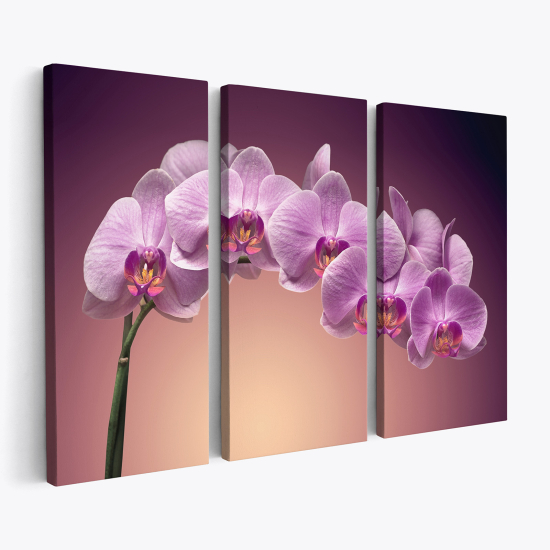 Stampa Trittico su tela - Orchidee