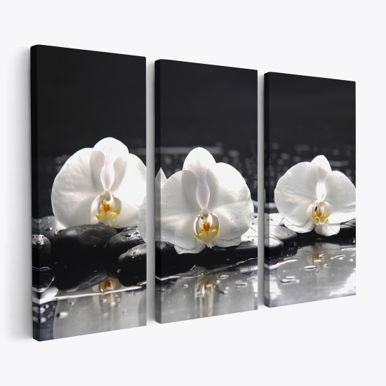 Stampa Trittico su tela - Orchidee