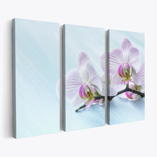 Stampa Trittico su tela - Orchidee